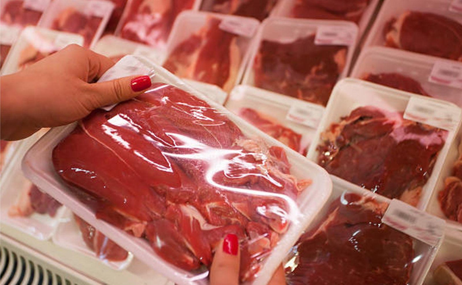 Exportar cortes de carne