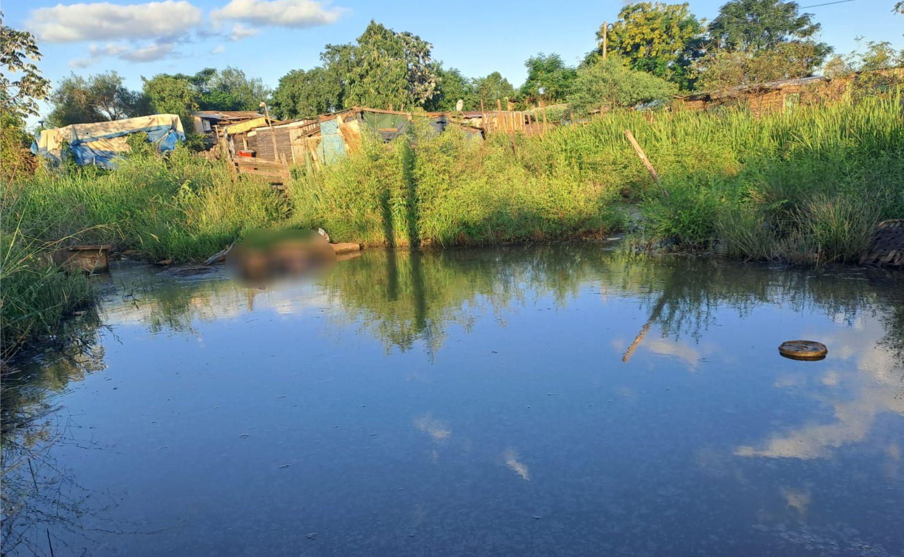 cuarpo laguna oleritos