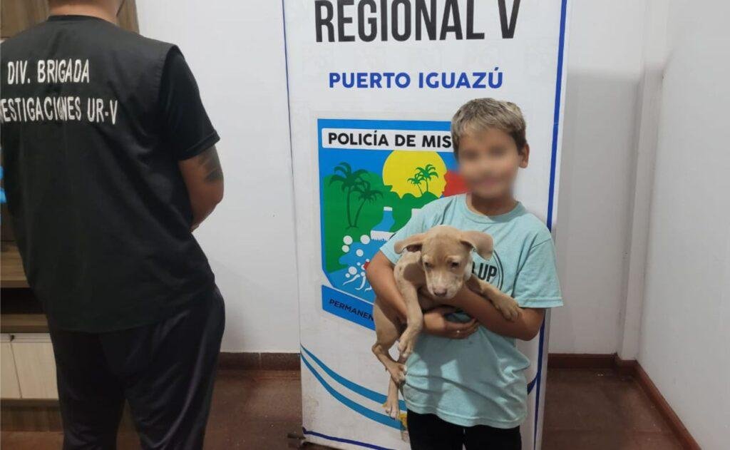 robo perrita pitbull iguazu