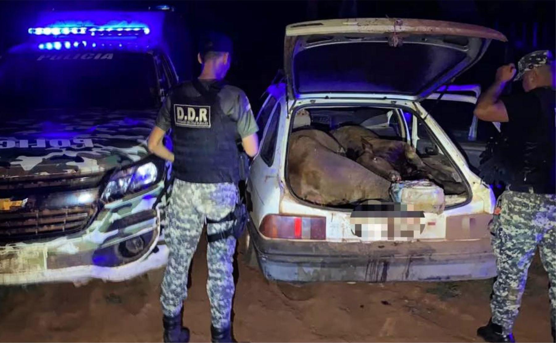 escapar policia animal montecarlo