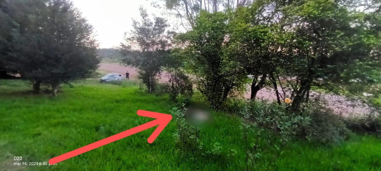 cuerpo sin vida kilómetro 983