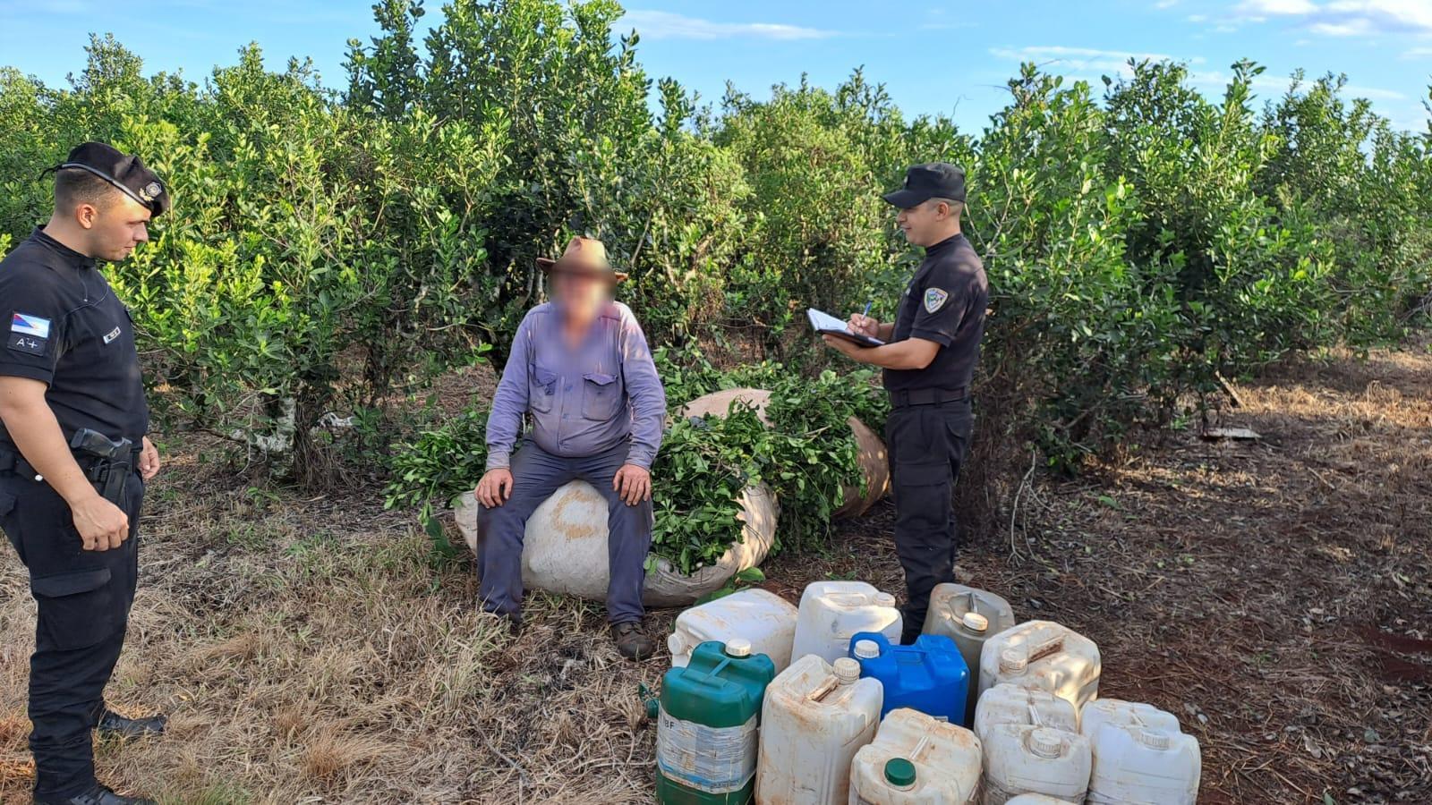 campo viera robo yerba