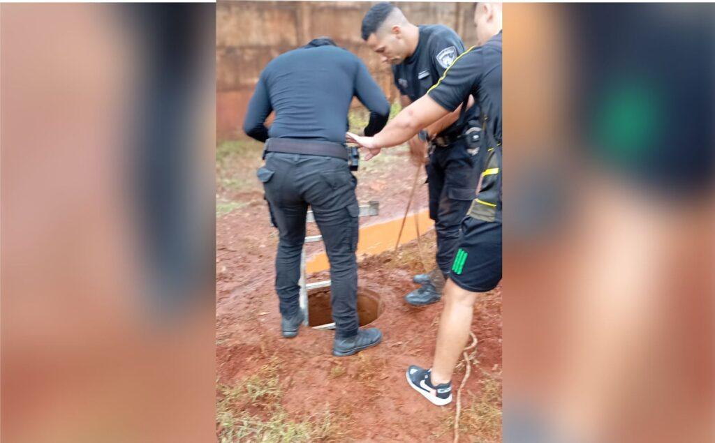 rescate pozo negro garupa