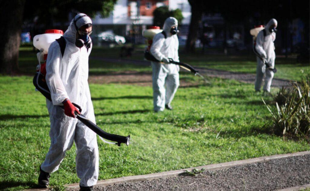 Parte epidemiologico dengue