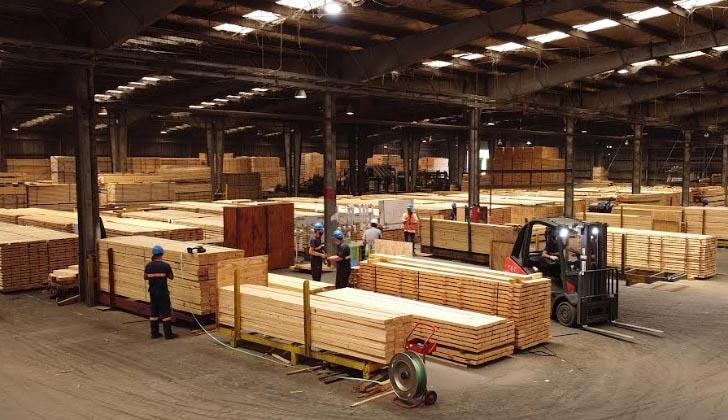 actividad economica marzo