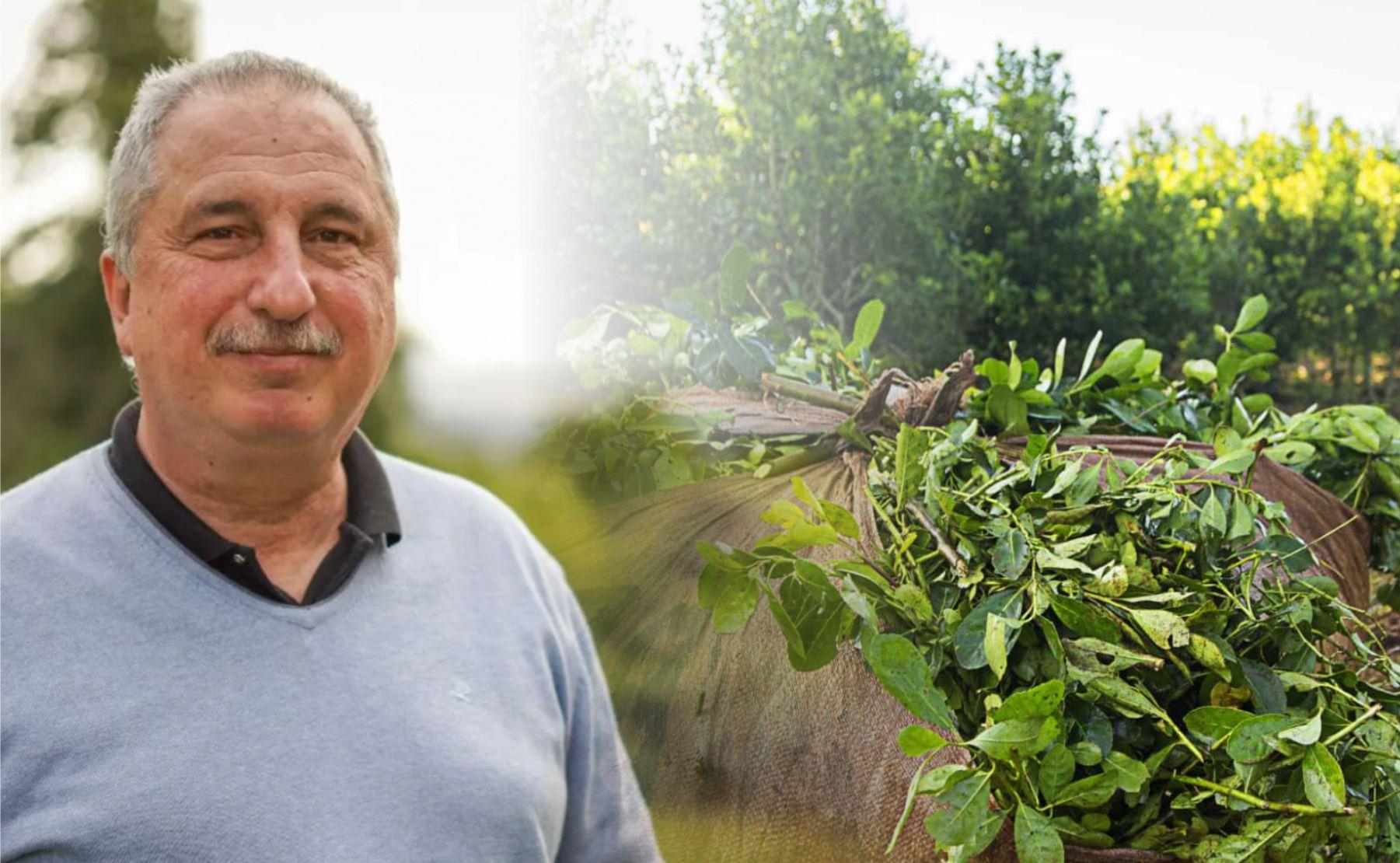 passalaqcua riesgo yerba