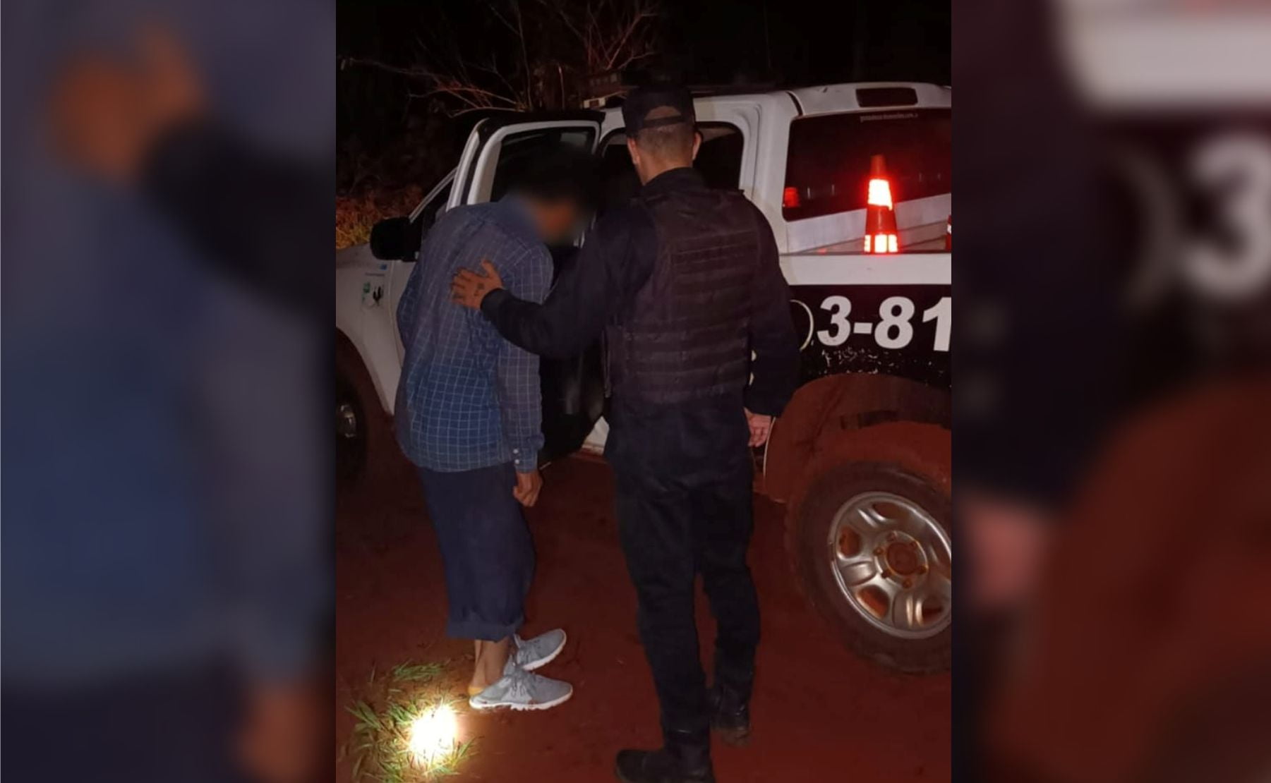 mordido serpiente los helechos