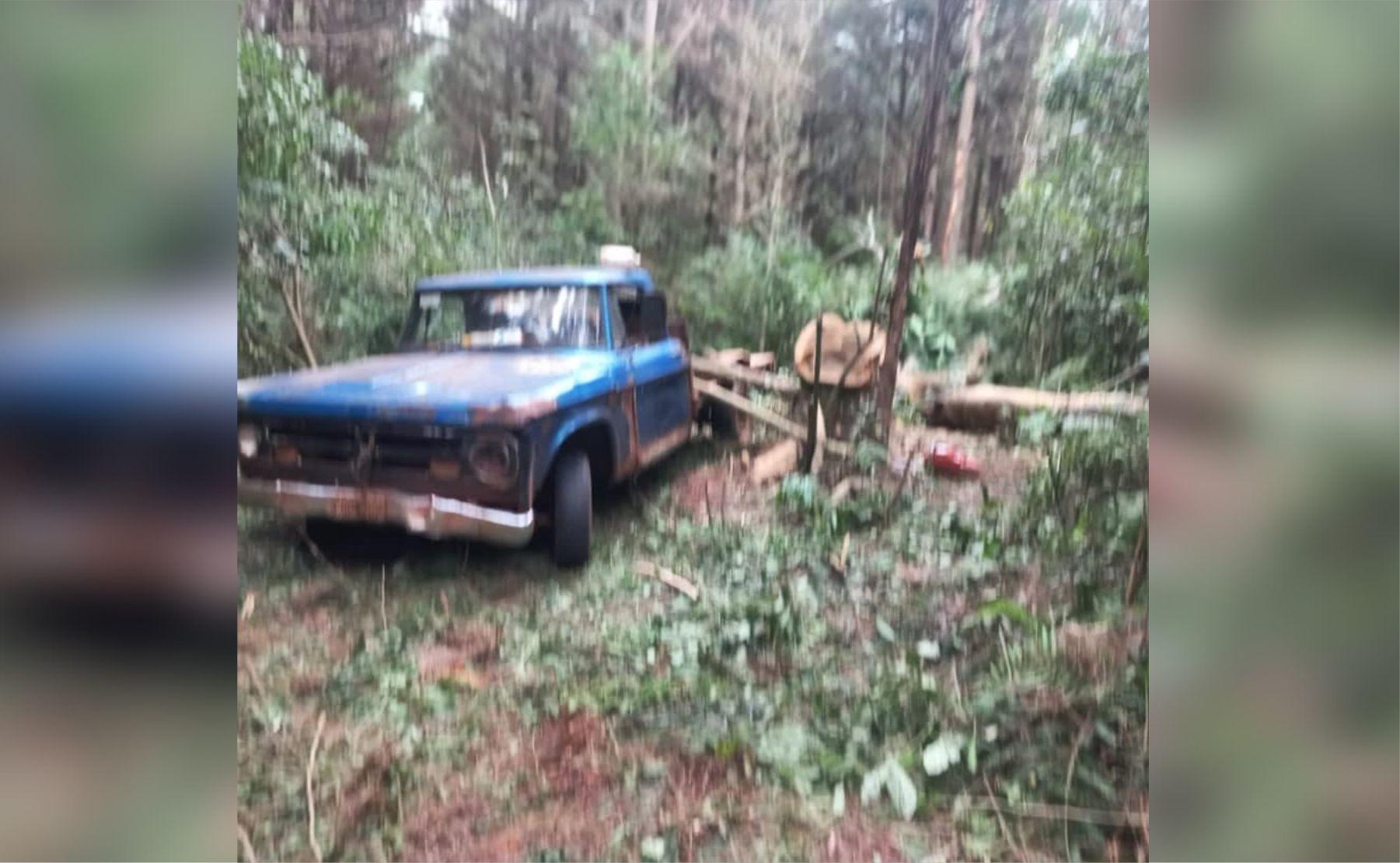 talaban arboles robar eldorado