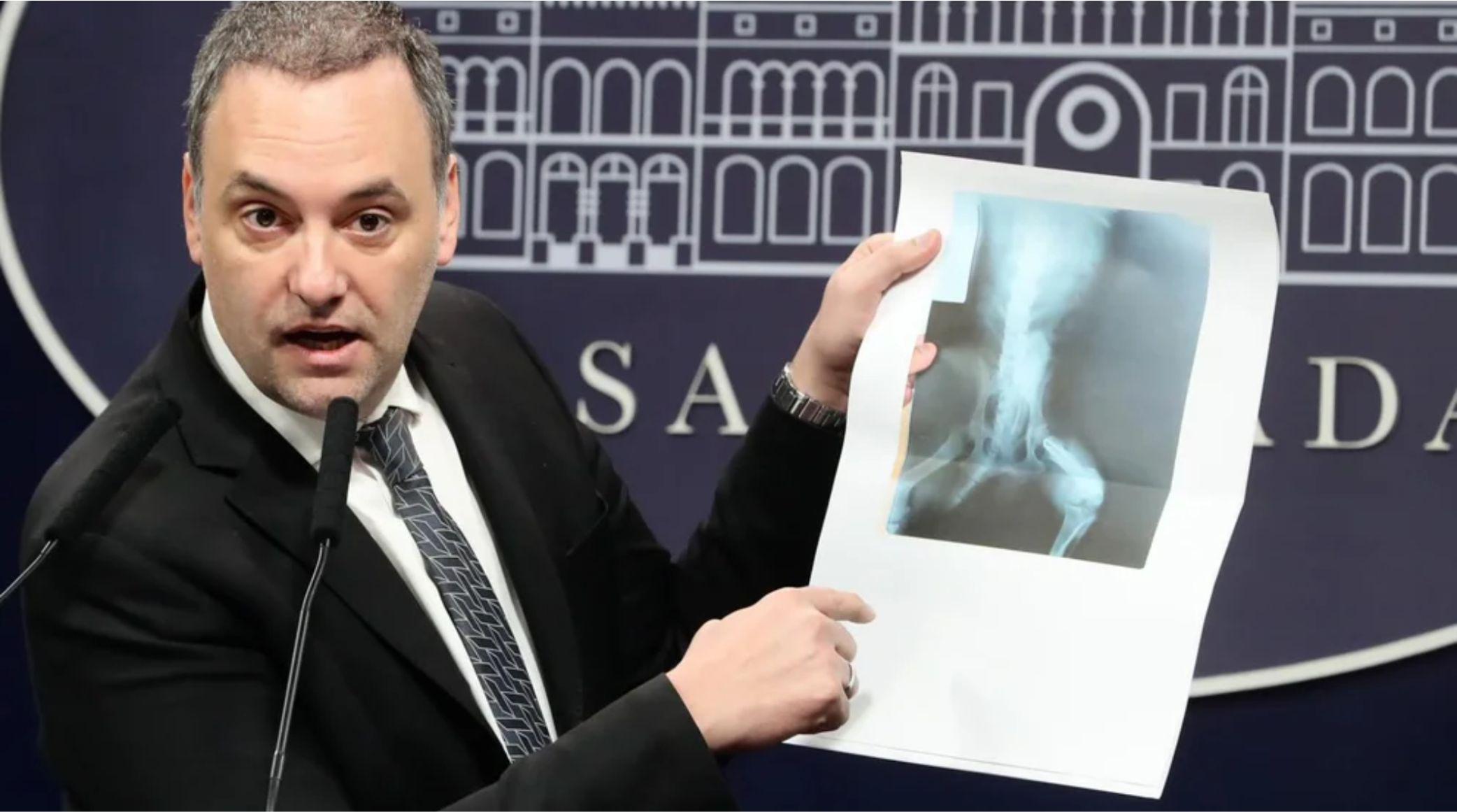 pensiones por invalidez auditoria