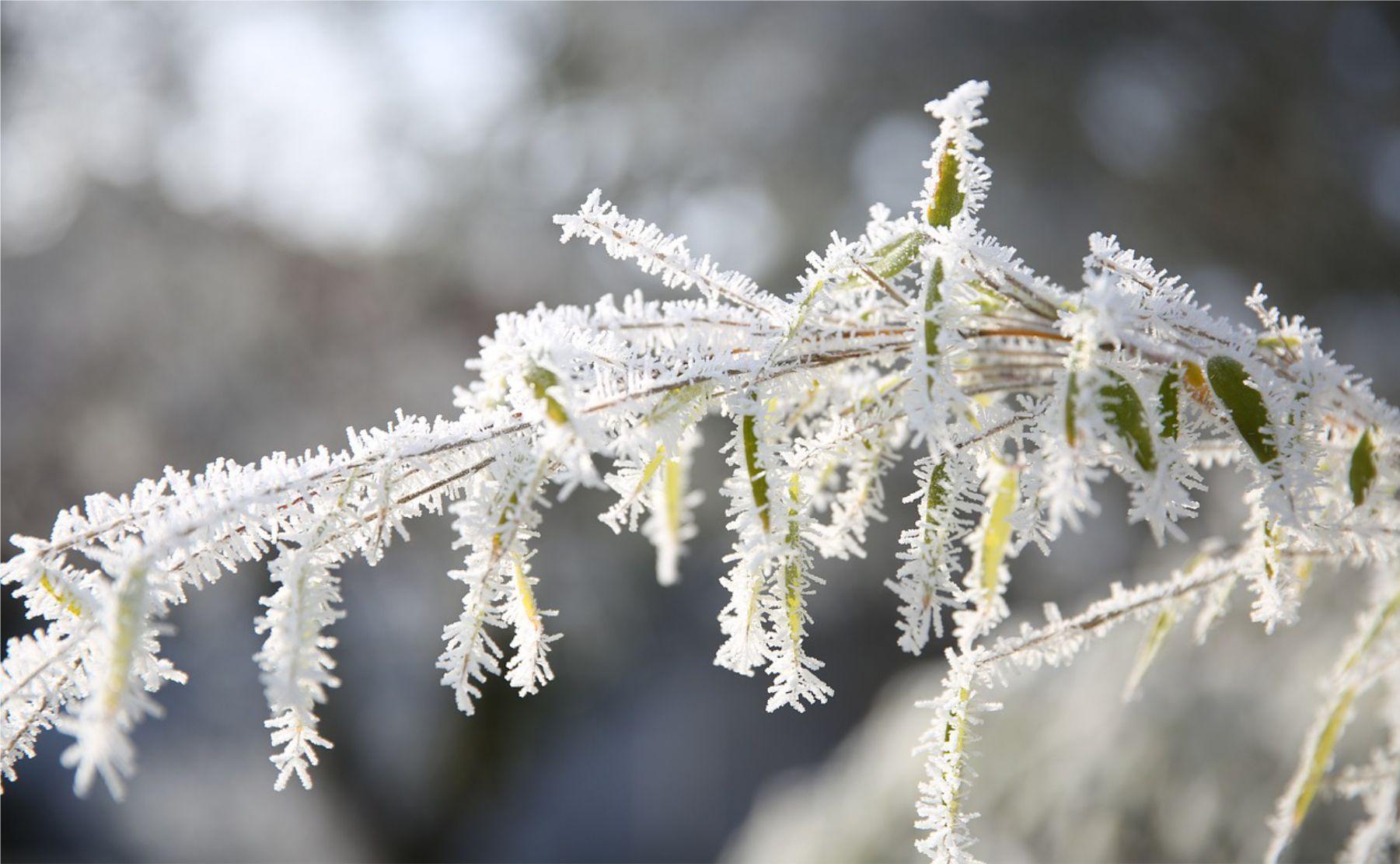 alerta frio 9 de julio