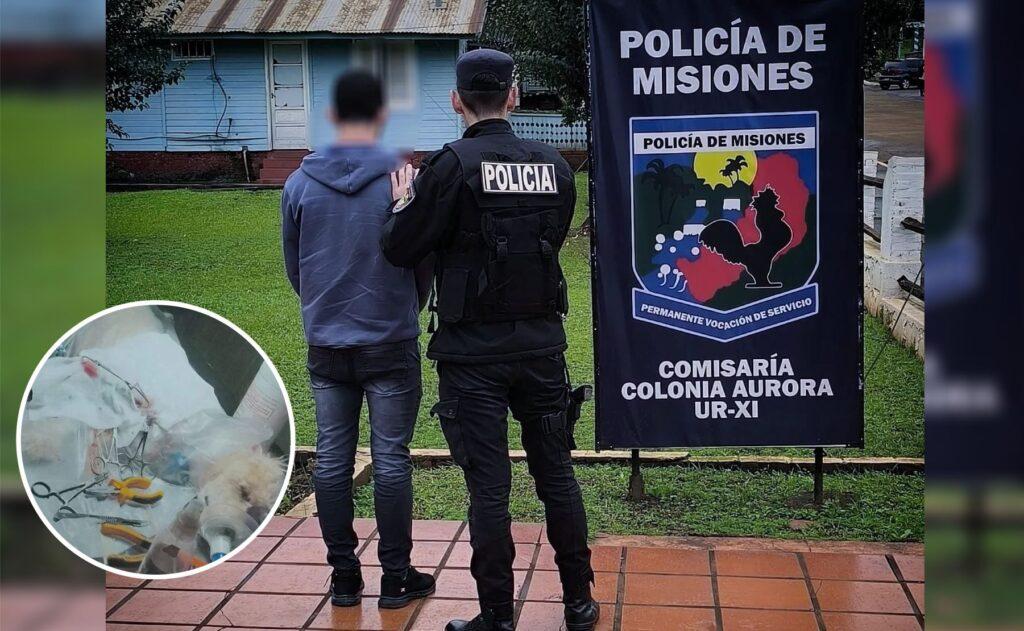 atacado perro a patadas