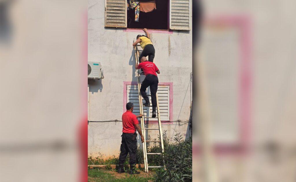 rescate mujer perros