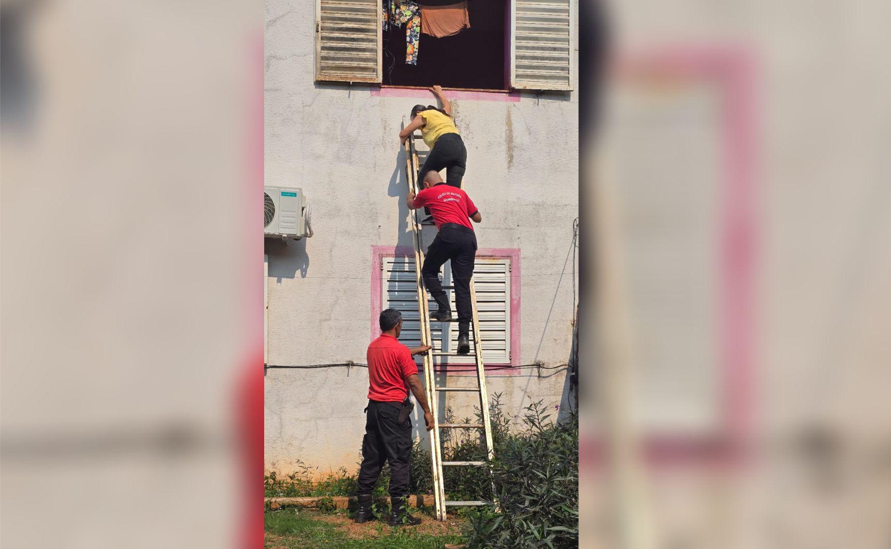 rescate mujer perros