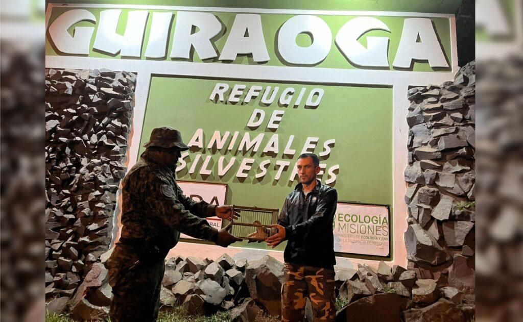 recate aves autoctonas misiones