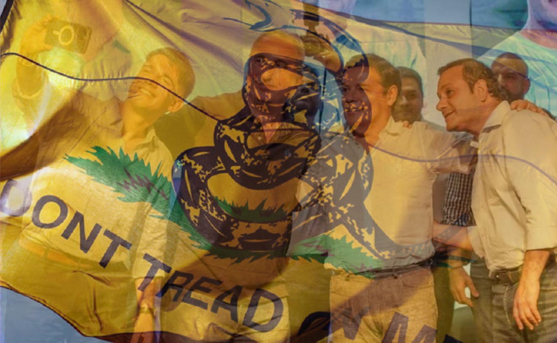 renovacion libertario