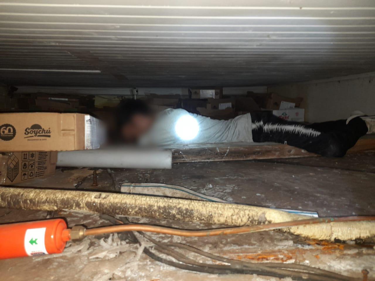 ladron camara frigorifica