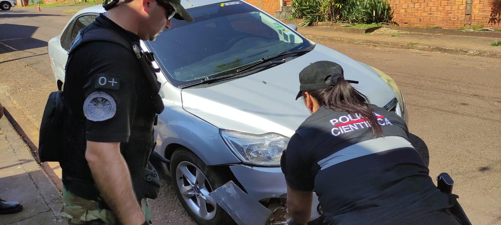 vehiculo atropello puma