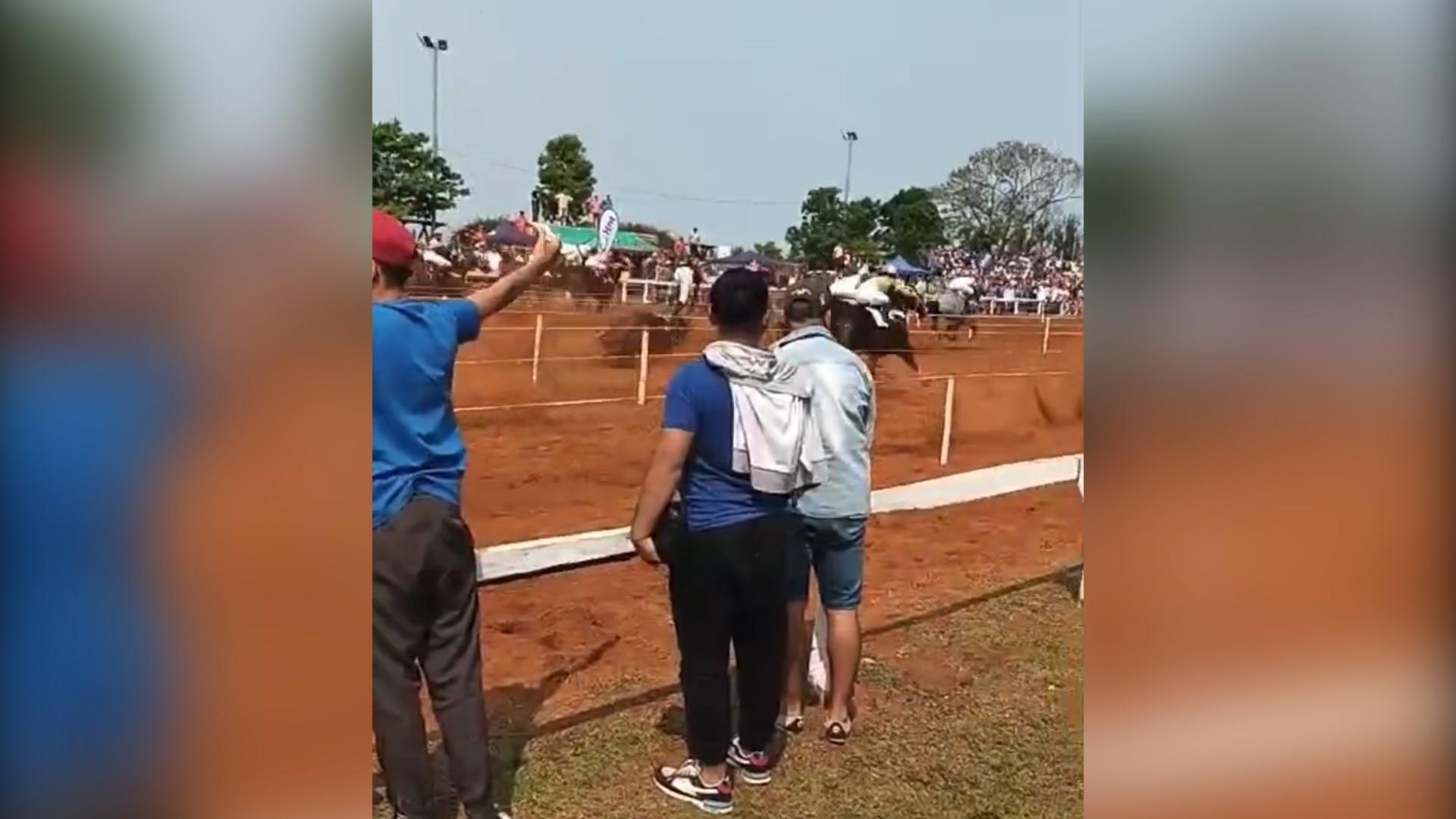 prohibir carreras caballos