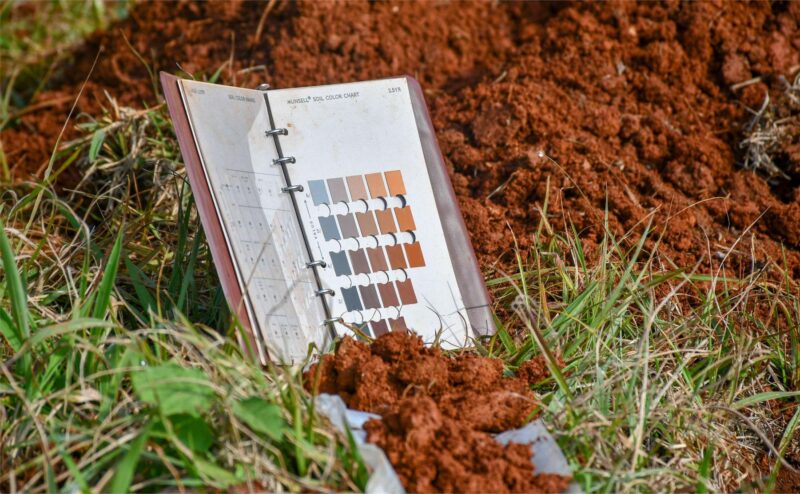 carta de suelo guarani