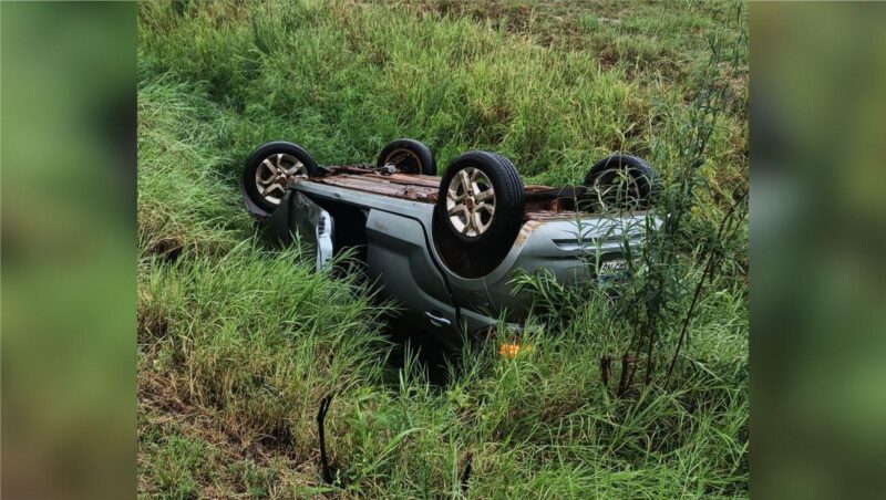 despiste acceso sur fiat movi