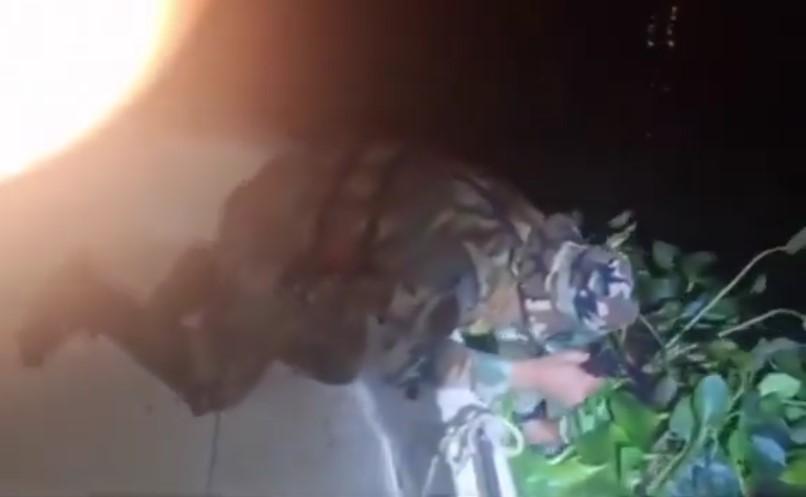 disfraso camalote parana cigarrillo