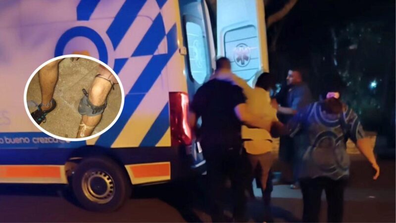 picado serpiente posadas