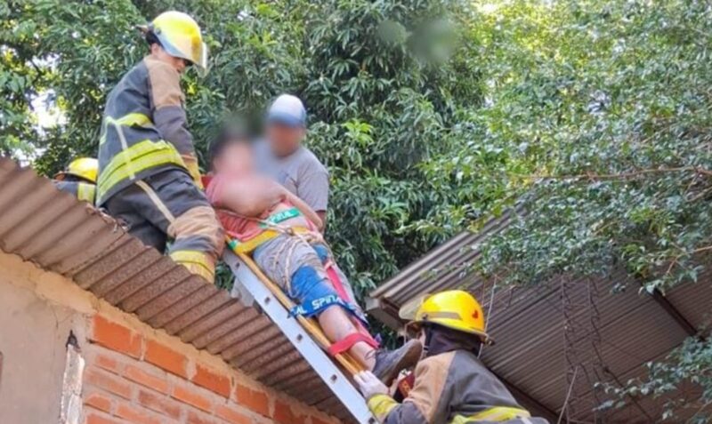 trabajador descarga jardin america