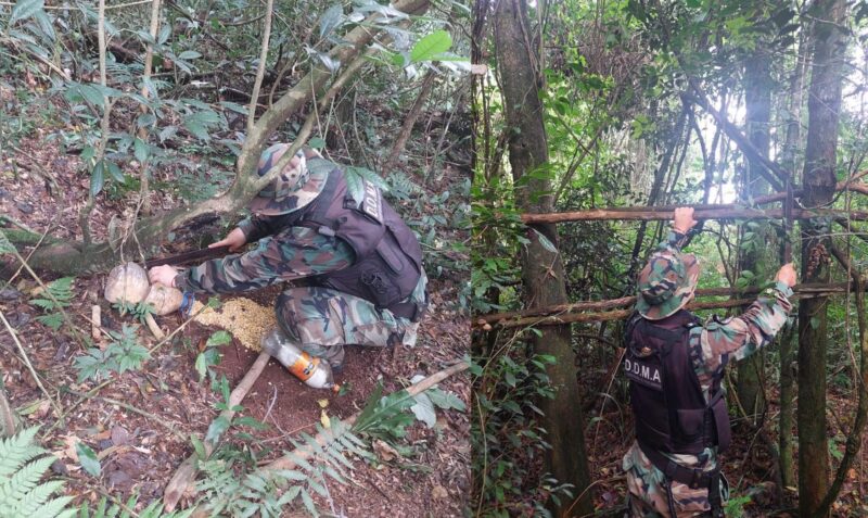 campamento caza san vicente