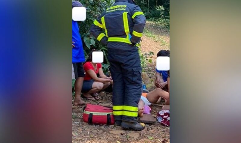 soberbio incrusto rama pierna