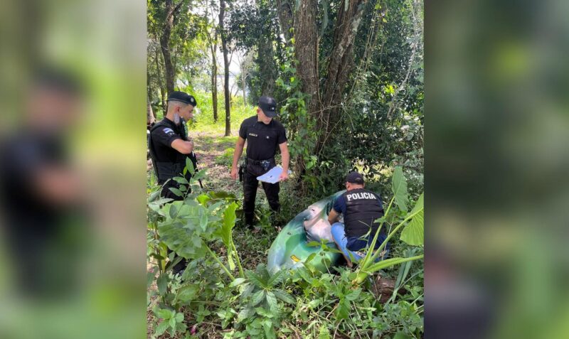 robo comercio san javier