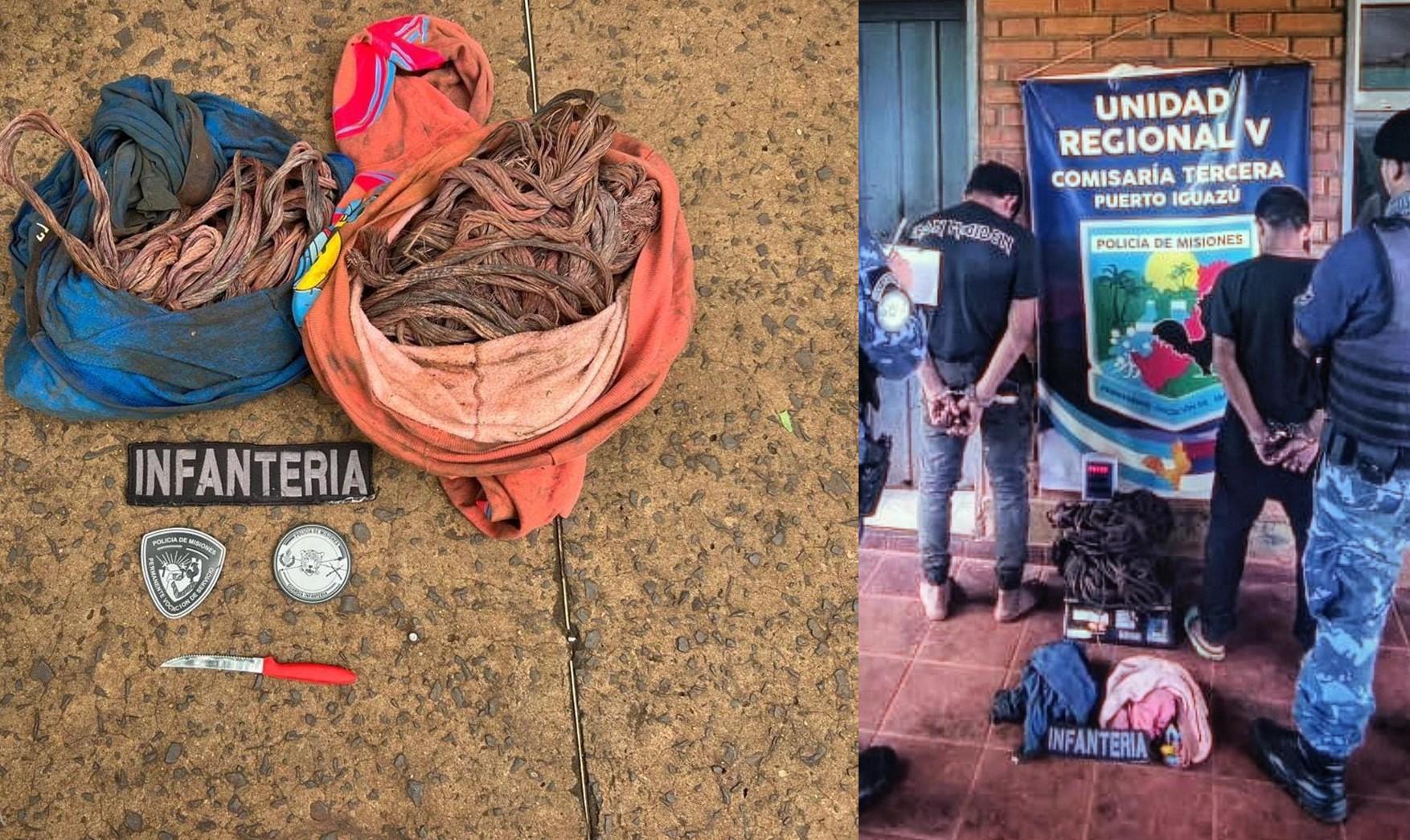 iguazu 600 hectareas detenido clables