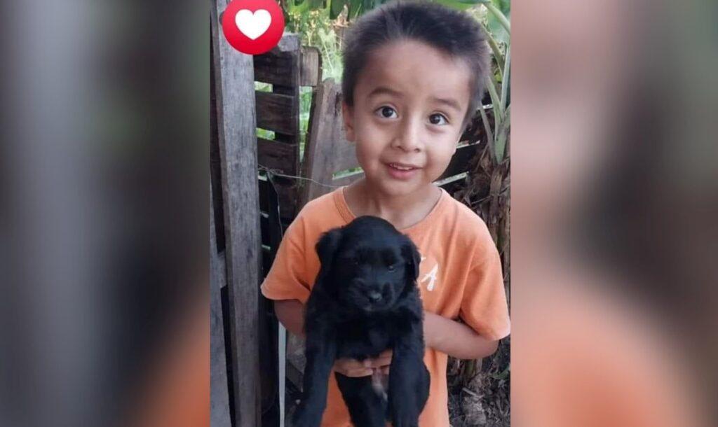 loan procesados dupuy