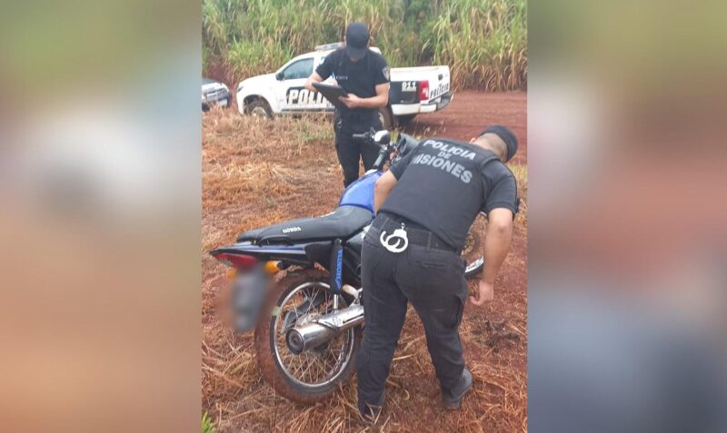 robo moto jardin america