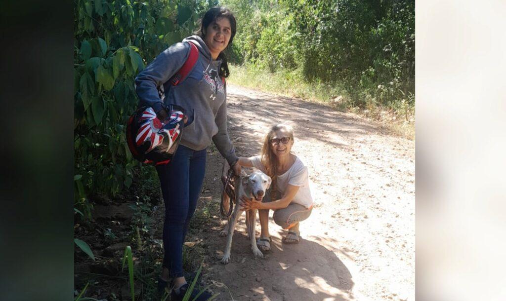 Buque perro cerro azul encontrado