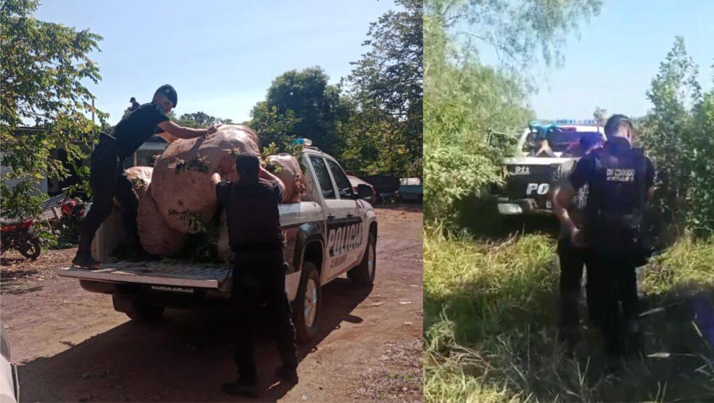detenido yerba apostoles