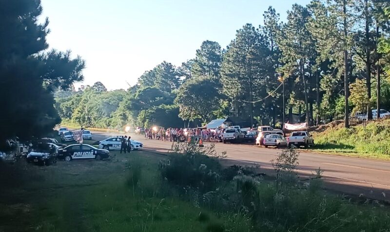 yerbateros campo grande