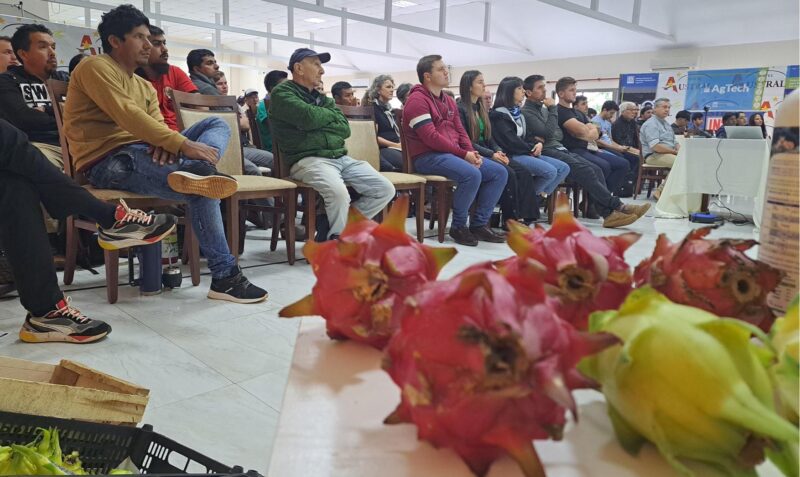 dos de mayo frutales tropicales