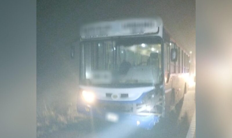 choque dos de mayo colectivo