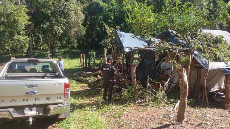 fallecio arbol eldorado