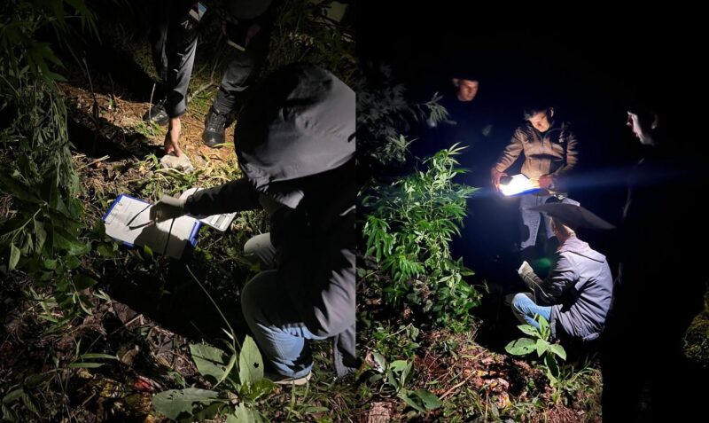 droga san pedro construccion