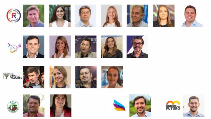 diputados misiones 2025