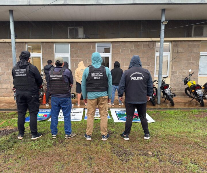 koala detenido garupa