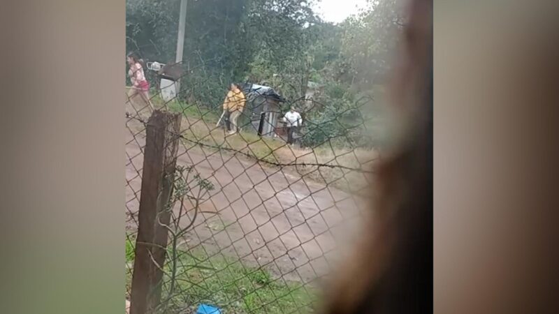 compro celular colombiano obera