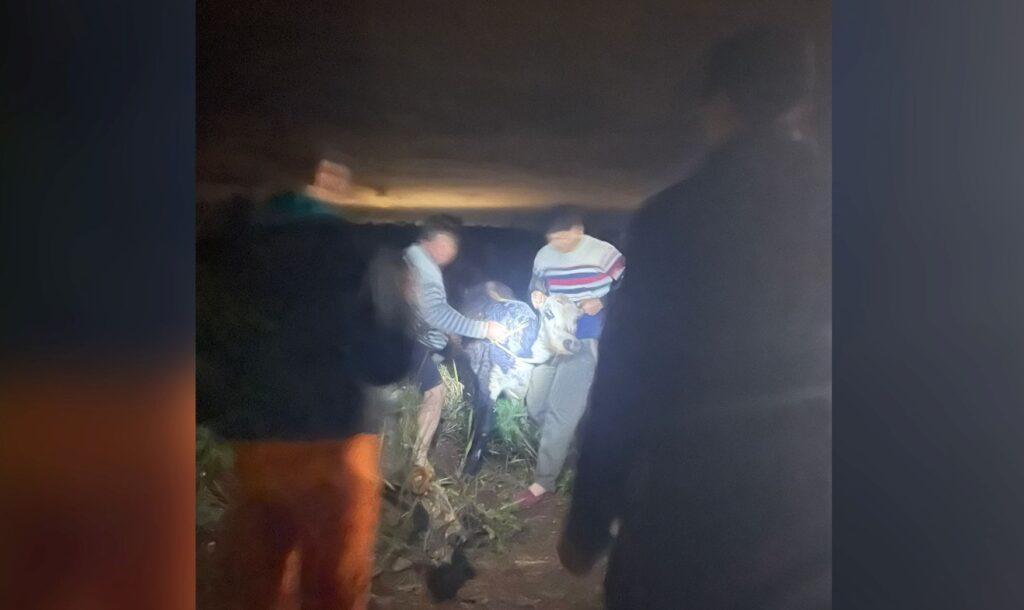 robo vacuno san jose