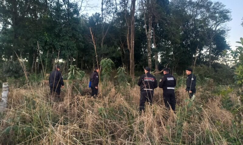 alfonso albino sin vida