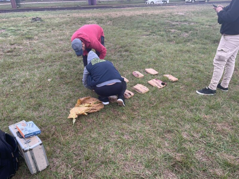 droga costanera posadas