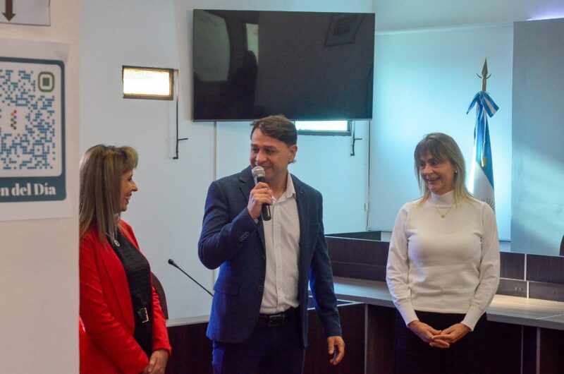 Manual de Técnica Legislativa Alem