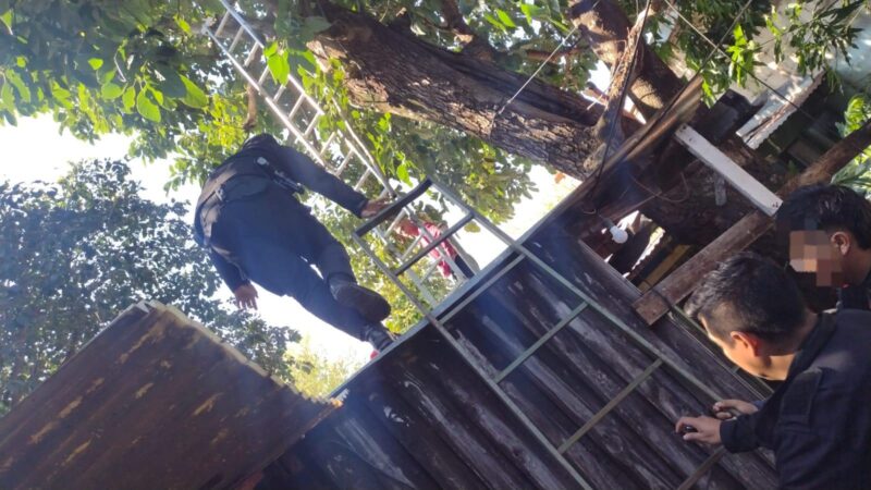 Hombre murió al caer de un árbol en Posadas