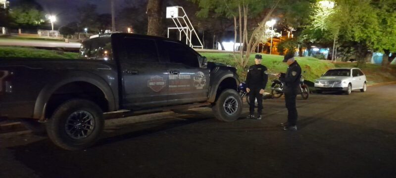 Camioneta atropelló perro Posadas