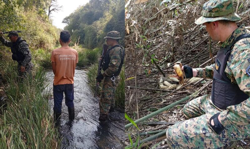delitos ambientales san vicente iguazu